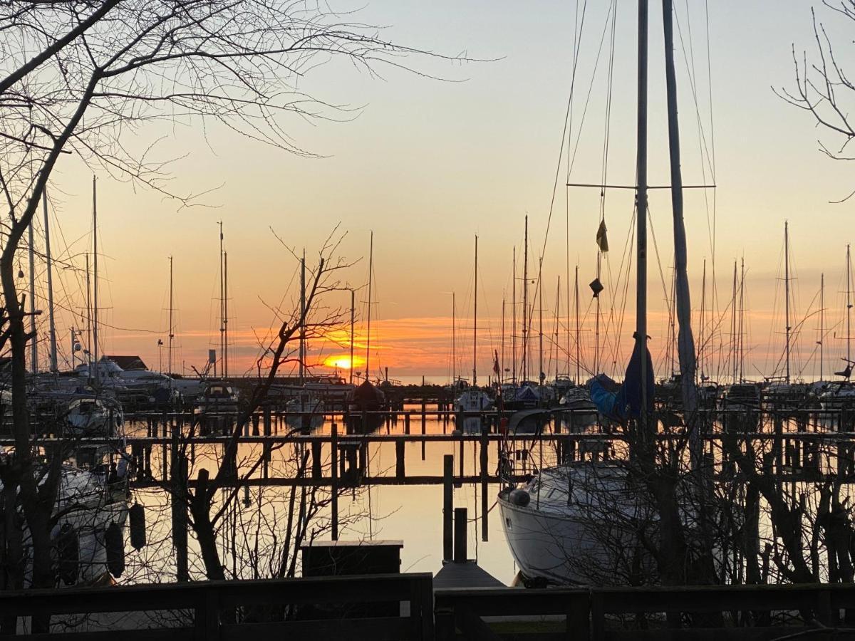 De Vier Winden Villa Hindeloopen Esterno foto