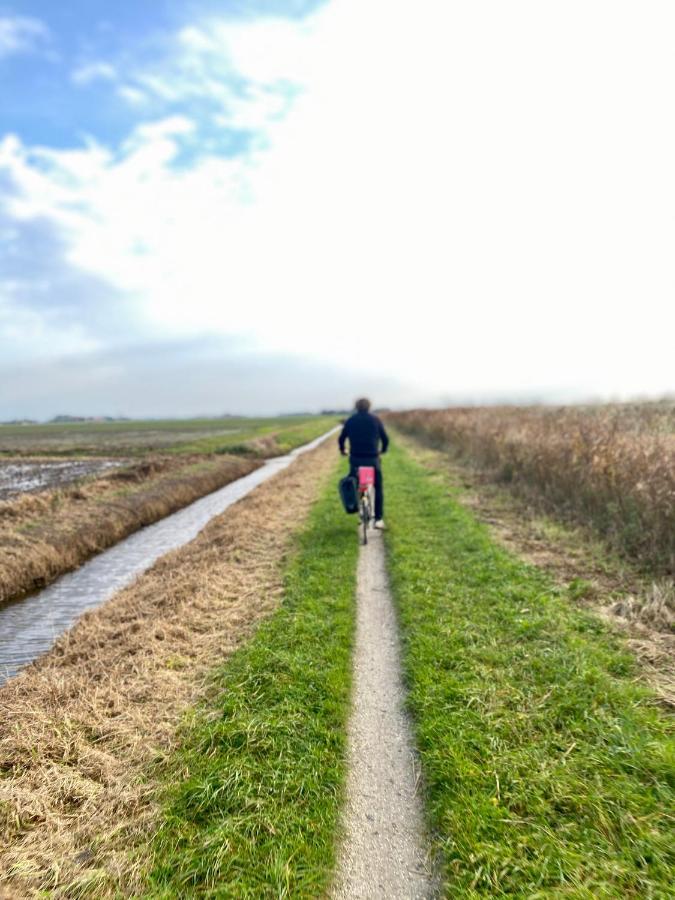 De Vier Winden Villa Hindeloopen Esterno foto